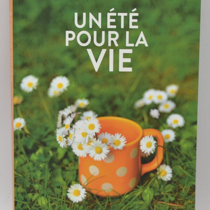 Un été pour la vie - Céline Rouillé - livre