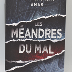Die Mäander des Bösen - Jack-Laurent Amar - Buch