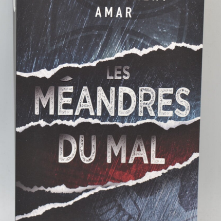 Die Mäander des Bösen - Jack-Laurent Amar - Buch