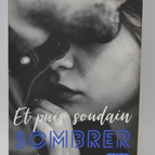 And Then Suddenly Sink Volume 3 - Laura S Wild - Book