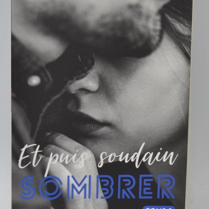 And Then Suddenly Sink Volume 3 - Laura S Wild - Book