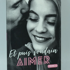And Then Suddenly Sink Volume 4 - Laura S Wild - Book