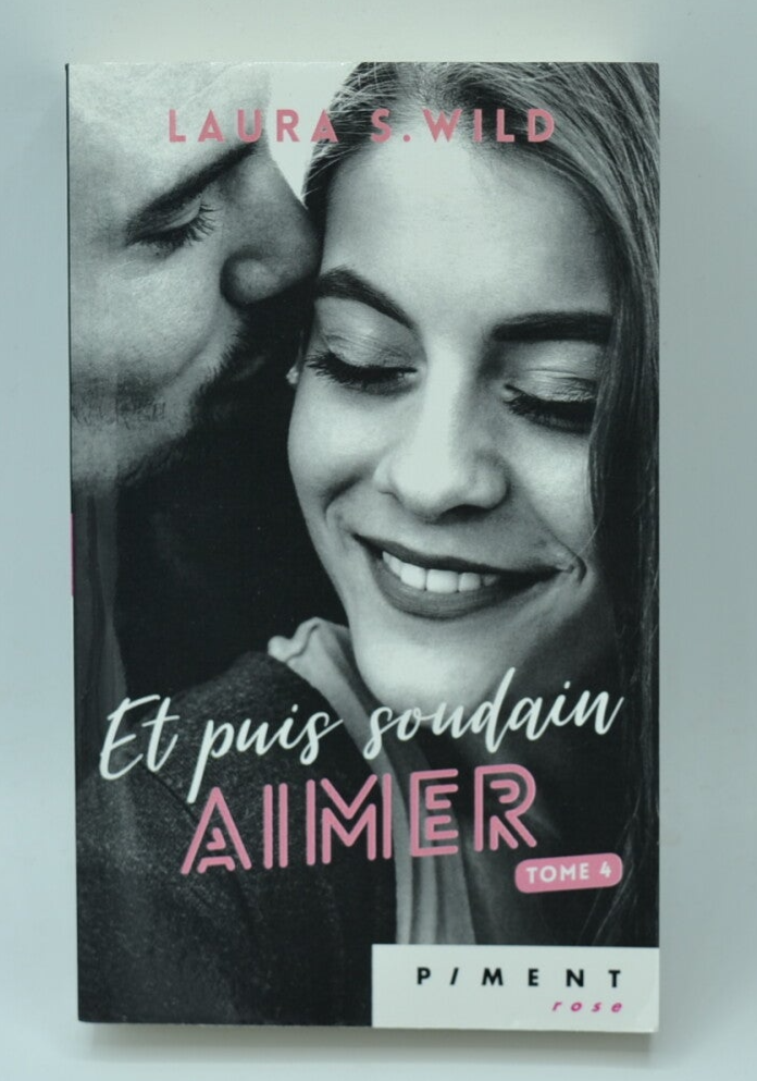 And Then Suddenly Sink Volume 4 - Laura S Wild - Book