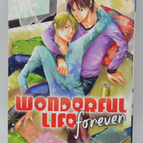 Wunderbares Leben für immer – Riyu Yamakami – Manga – Buch