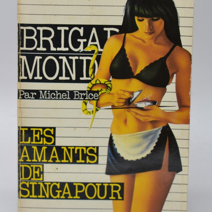 Singapore Lovers - Social Brigade - book