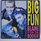 45 U/min Vinyl-Schallplatte - Blame it on the Boogie Big Fun
