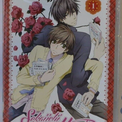 DVD Sekaiichi Hatsukoi – NEUE DVD