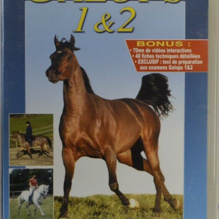 Interaktive DVD Galopp 1 und 2