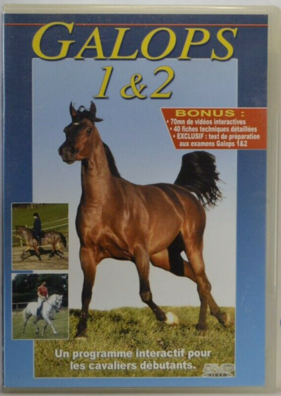 Interaktive DVD Galopp 1 und 2