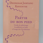 Einen guten Start hinlegen - Dzongsar Jamyang Khyentse - Buch