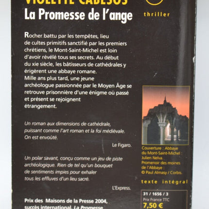 Das Versprechen des Engels - Frédéric Lenoir - 2007 - Buch