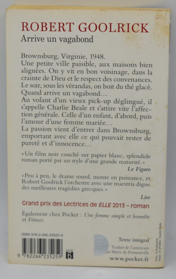 Along Comes a Vagabond - Robert Goolrick - 2013 - book