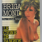 The Swan of Bangkok - Brigade mondaine - Gérard De Villiers - 1983 - book