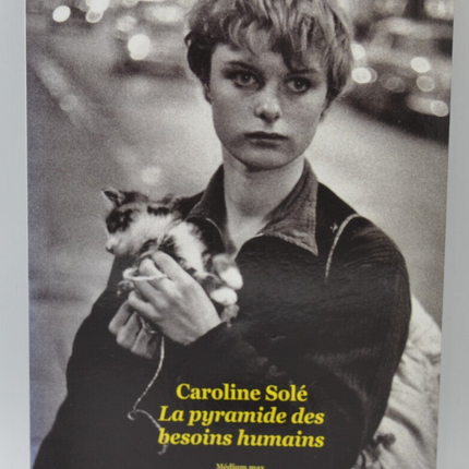La Pyramide Des Besoins Humains - Caroline Solé - 2017 - livre
