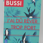 Ich muss zu sehr geträumt haben - Michel Bussi - 2020 - Buch
