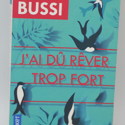 Ich muss zu sehr geträumt haben - Michel Bussi - 2020 - Buch