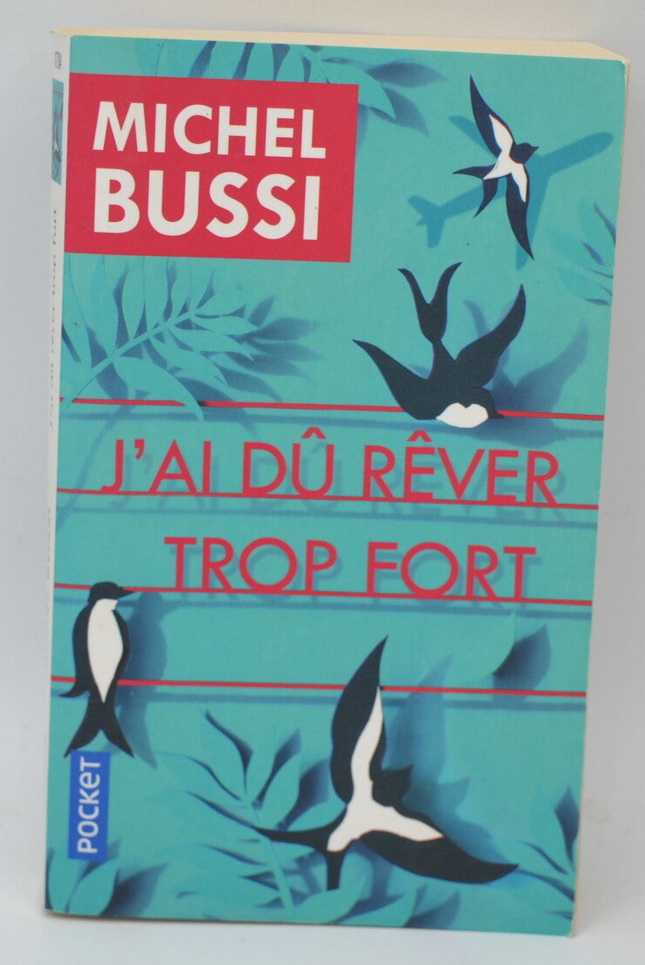J’ai dû rêver trop fort – Michel Bussi – roman policier suspense psychologique drame familial secrets d’occasion - livre