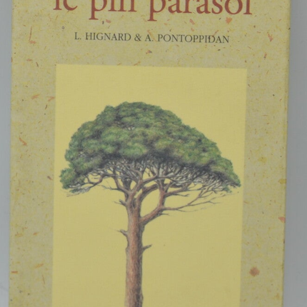 Le pin parasol - Alain Pontoppidan Lionel Hignard - 1995 - livre