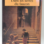 In the Talons of the Falcon - Chet Raymo - 1995 - book