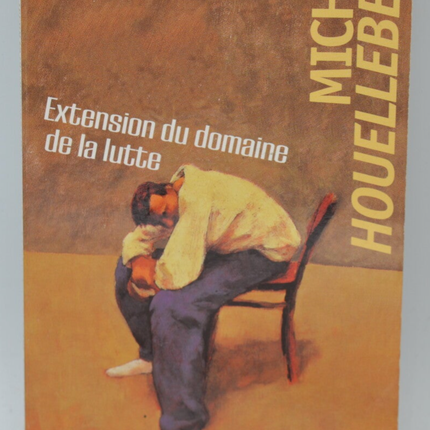 Extension du domaine de la lutte – Michel Houellebecq – Roman contemporain désenchantement société travail – Livre d’occasion - livre