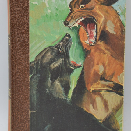 White Fang - Jack London - 1974 - Buch