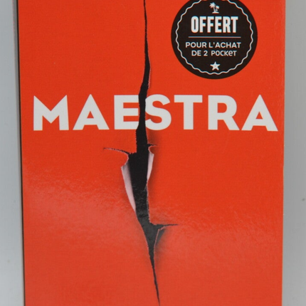 Maestra - L.S Hilton - 2023 - livre