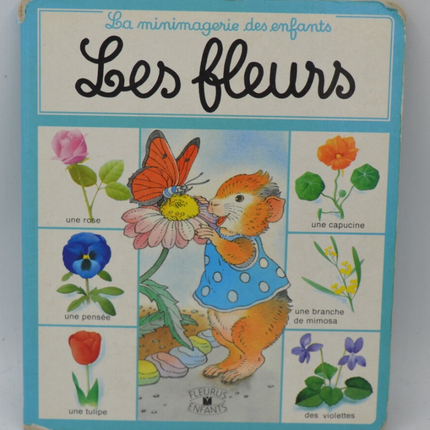 Blumen, Minibilder für Kinder - Vilayne Hulné - 1989 - Buch