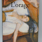 Der Sturm - Deforges Regine - 2001 - Buch