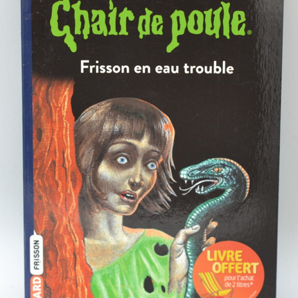 Shiver in Troubled Waters - Goosebumps - RL Stine - 2010 - book