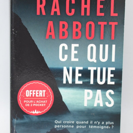 What Doesn't Kill You - Rachel Abbott - 2023 - book