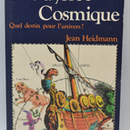 Die kosmische Odyssee: Welches Schicksal erwartet das Universum? - Jean Heidmann - 1986 - Buch