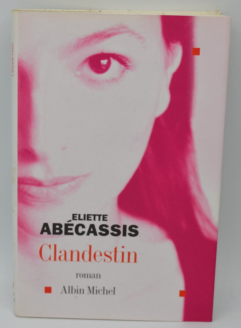 Clandestin - Eliette Abécassis - 2003 - livre