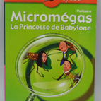 Bibliolycée - Micromegas - Princess of Babylon, Voltaire - Voltaire - 2012 - book
