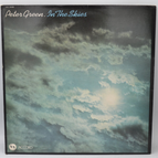 In the Skies Peter Green - 33 U/min Vinyl-Schallplatte