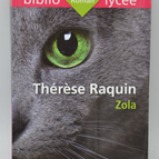 Thérèse Raquin – Emile Zola – 2015 – Buch