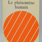 Das menschliche Phänomen - Pierre Teilhard de Chardin - 1976 - Buch