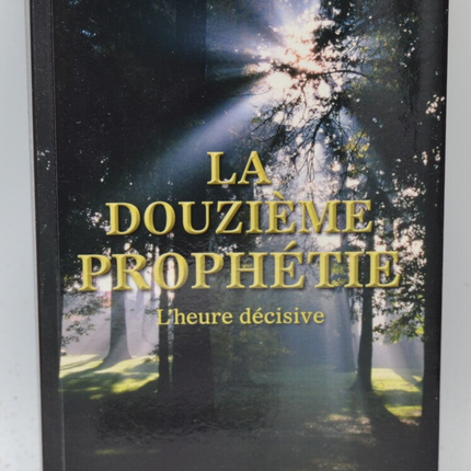 La Douzième Prophétie - L'heure décisive - James Redfield - 2013 - livre