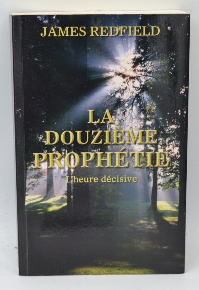 Die zwölfte Prophezeiung – Die entscheidende Stunde – James Redfield – 2013 – Buch