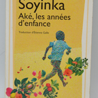 Aké, the childhood years - Wole Soyinka - 2021 - book