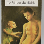 Le vallon du diable - André Brink - 1998 - livre