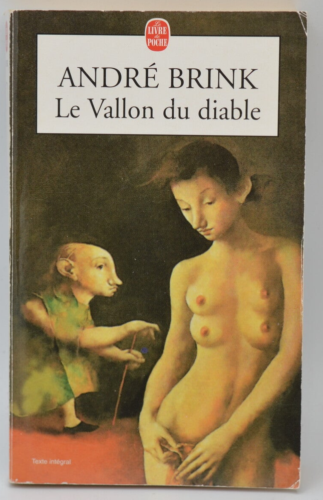 Das Teufelstal - André Brink - 1998 - Buch