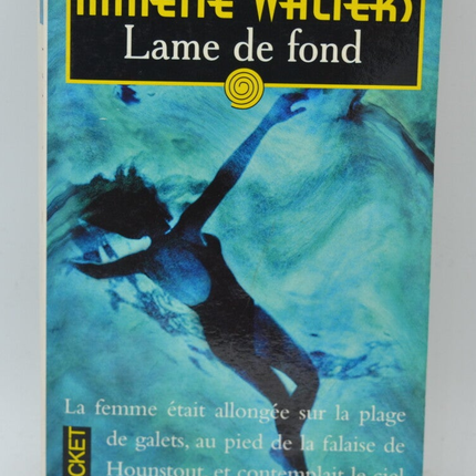 Groundswell - Minette Walters - 2002 - Buch