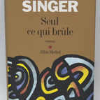 Nur was brennt - Christiane Singer - 2006 - Buch