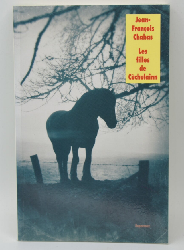 Die Töchter von Cuchulainn – Jean-François Chabas – 2013 – Buch