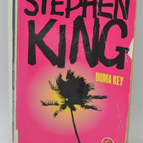 Duma Key - Stephen King - 2011 - livre