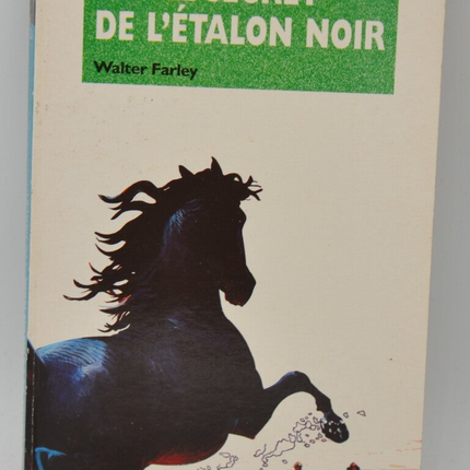 The Secret of the Black Stallion - Walter Farley - 1994 - Green Library - book