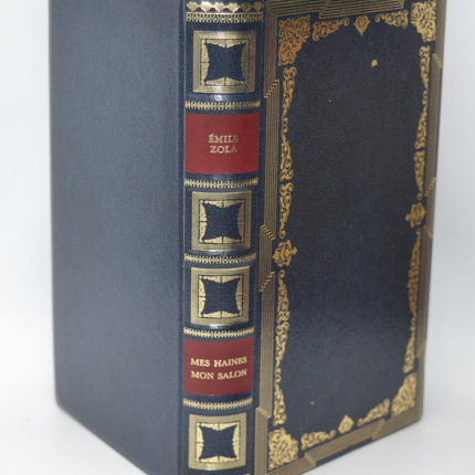 Mes haines mon salon - Emile Zola - livre
