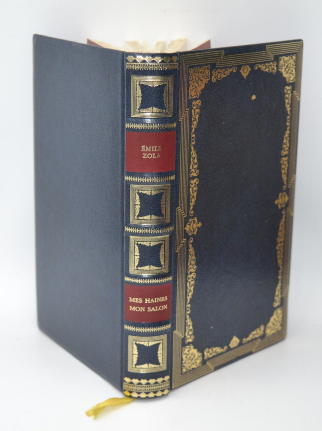 Mein Hass, mein Wohnzimmer - Emile Zola - Buch