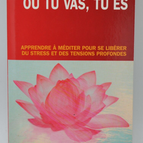 Wohin du gehst, da bist du - Jon Kabat-Zinn - 2004 - Buch