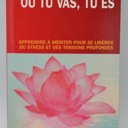 Wohin du gehst, da bist du - Jon Kabat-Zinn - 2004 - Buch